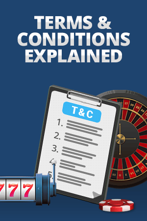 understanding bonus terms and conditions