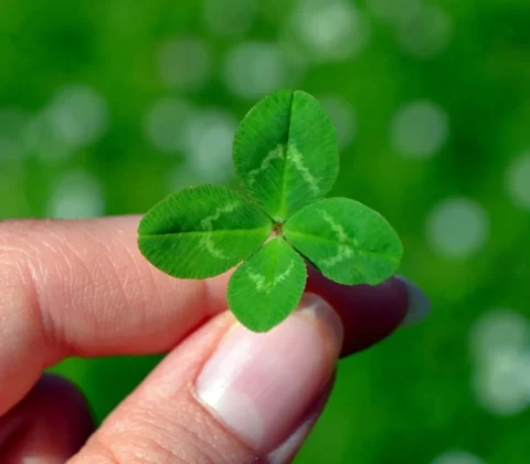 Iowa Man Unknowingly Holds Winning Lottery Ticket